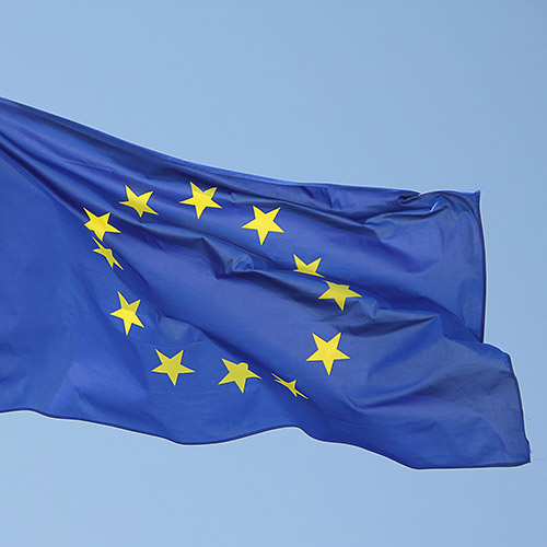 Amendment to the European REACH Regulation
