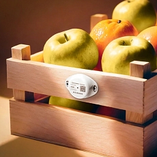 Teltonika Eye Sensor EN12830 do monitorowania temp