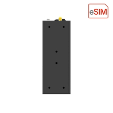 Gateway Robustel EG3120e eSIM, rear part