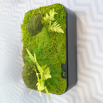 MyBox is design and functionality in one